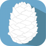 whitepinecone