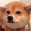 Dev.Doggo