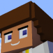 Saby The Minecraft disc