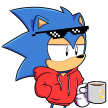 Sonic'sMCAnimator