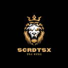 scrdtsx31