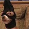 DarthJediJay