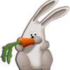 DerpyBunneh