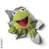 Kermit the Forg
